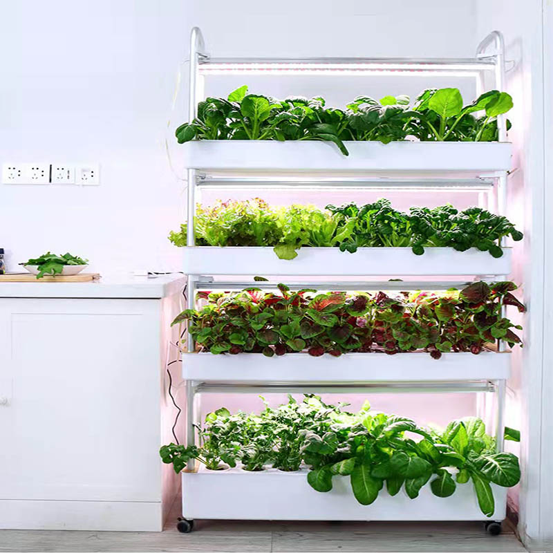Sistema de plantio ydroponic S - Home Automation System Diy avaliação e preço